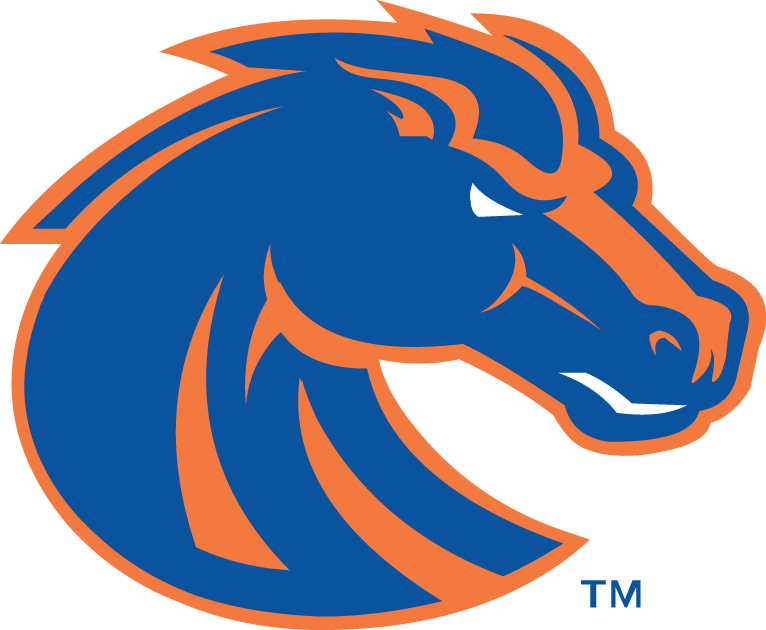 Boise State Broncos 2002-2012 Secondary Logo v2 iron on transfers for T-shirts